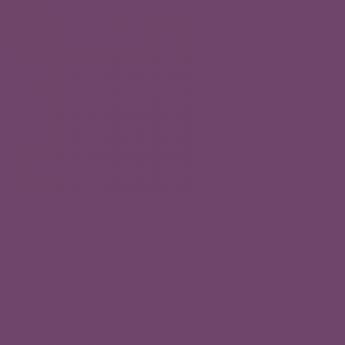 Dark Violet BS381 796 Aerosol Paint